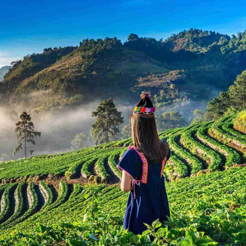 Munnar