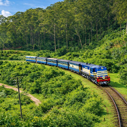 Ooty